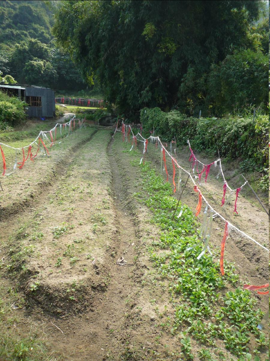 20101127 THE Organic Farm04